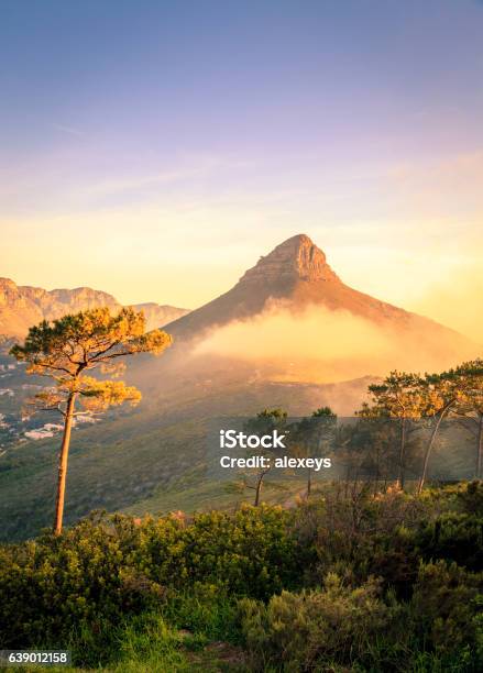 Lions Head Mountain - Fotografie stock e altre immagini di Città del Capo - Città del Capo, Repubblica Sudafricana, Paesaggio