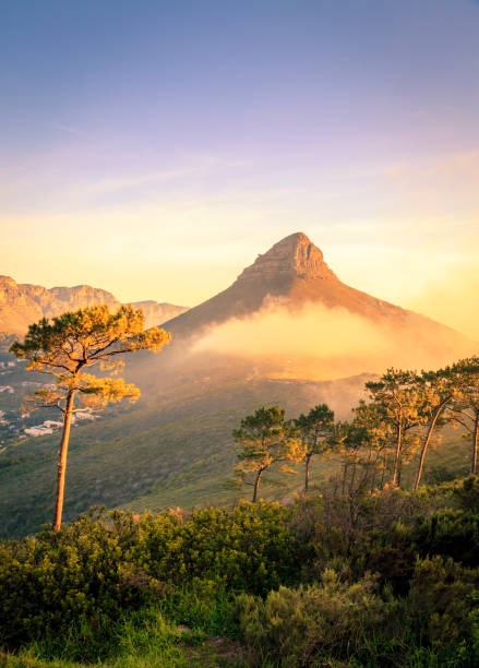 ライオンヘッド山 - cape town ストックフォトと画像