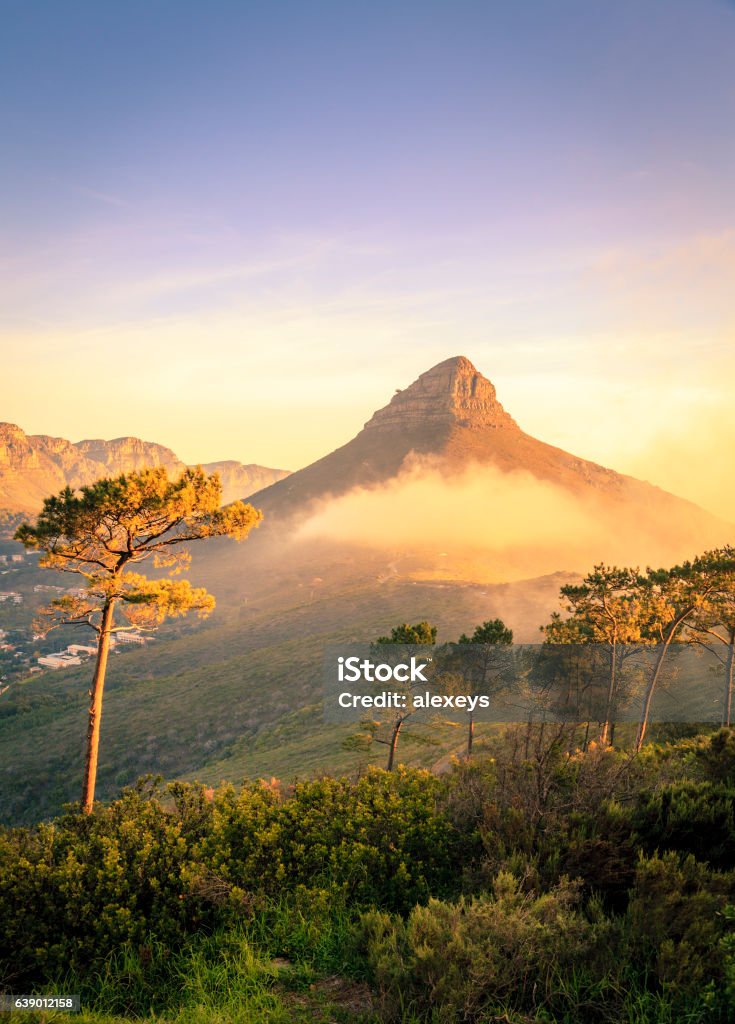 Lions Head Mountain Lions Head Mountain in Cape Town, South Africa Cape Town Stock Photo