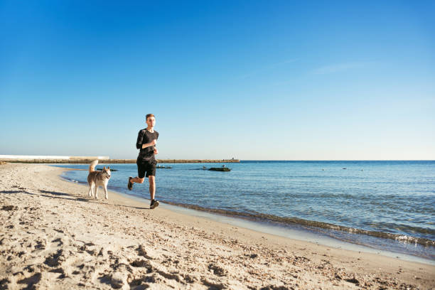 istock Running man with husky dog 639012582
