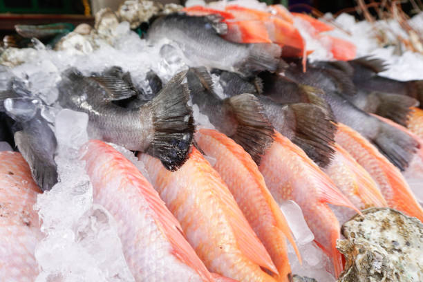 istock Fresh fish at market stall 639015028