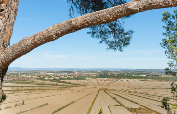 istock Agricultural patterns in French countryside 639015046