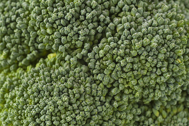 istock Close-up shoot of fresh green broccoli 639015372
