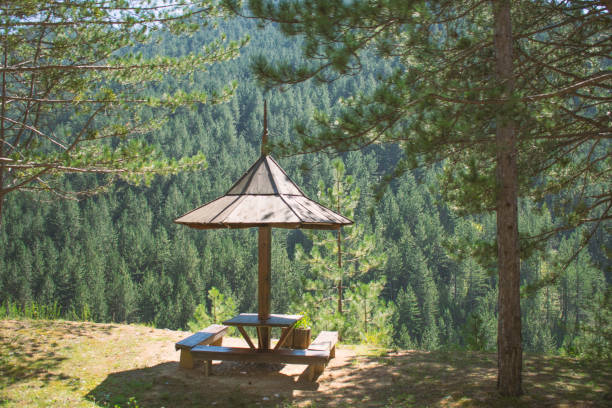istock Wooden bench surrounded by trees 639015826