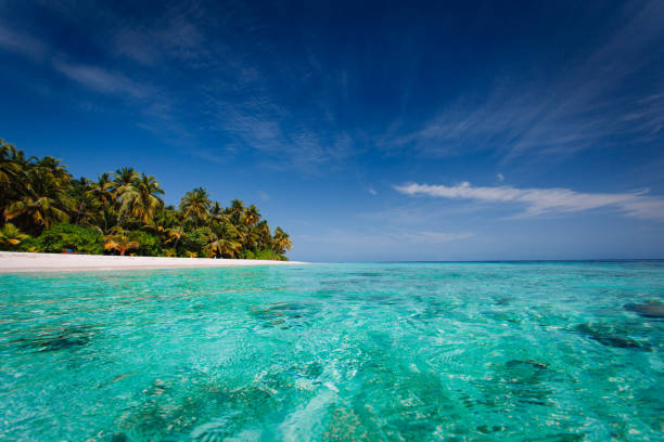 istock tropical beach against blue sky, vacation concept 639017722