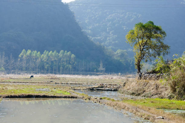 istock The mountains  and countryside scenery 639020722