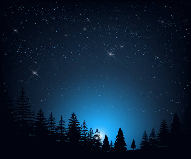 istock Night landscape with starry sky on a background silhouettes of 639021502