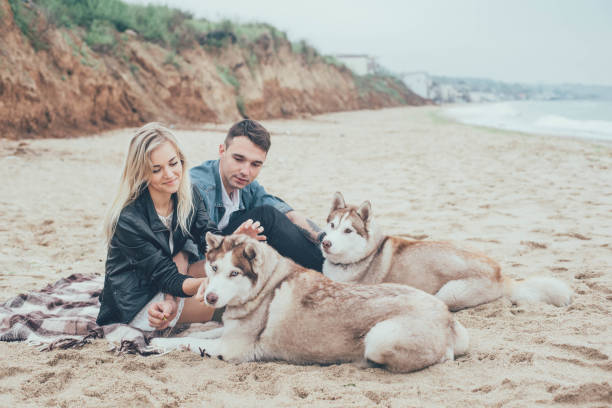 istock couple on beach with husky dogs 639022172