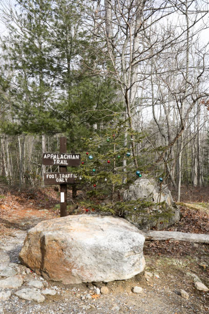 istock Appalacian trail sign with Christmas tree 639022530
