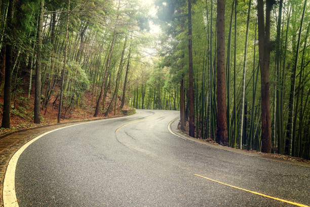istock View of the road. 639022970