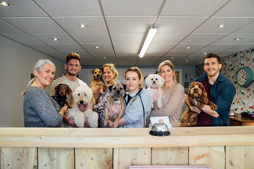 Dog grooming businessowner is posing with her dog, with a selection of her customers with their dogs behind the counter in her shop.