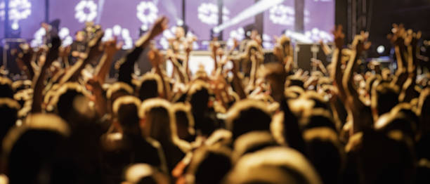 istock Defocused shot of concert crowd 639025618