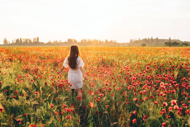 istock woman in poppy field 639025862