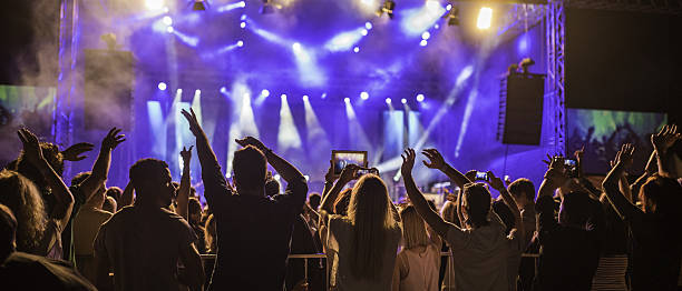 istock Rear view of concert crowd 639026828