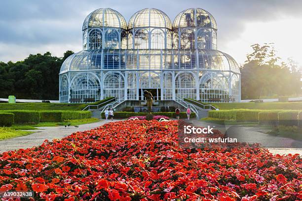 Landscape View Of A Garden In Curitiba Brazil Stock Photo - Download Image Now - Curitiba, Botanical Garden, Brazil