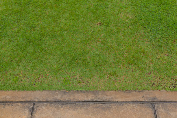 istock walkway and green grass in the garden 639033408