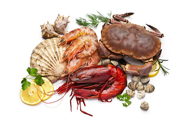High angle view of colorful crustaceans and mollusks group isolated on white background. DSRL studio photo taken with Canon EOS 5D Mk II and Canon EF 70-200mm f/2.8L IS II USM Telephoto Zoom Lens