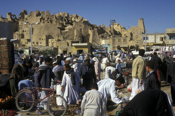 istock AFRICA EGYPT SAHARA SIWA OASIS 639036454