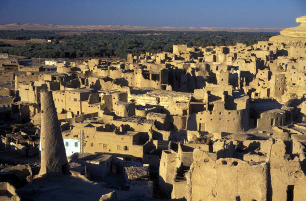 istock AFRICA EGYPT SAHARA SIWA OASIS 639037184