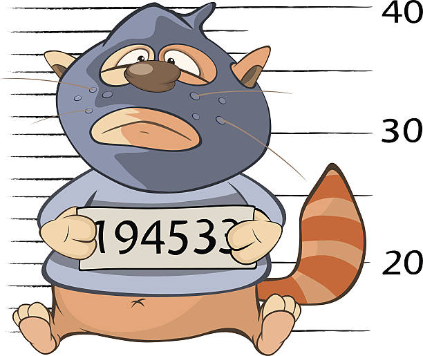 귀여운 �고양이 갱스터 범죄의 그림 - prison cartoon vector illustration and painting stock illustrations