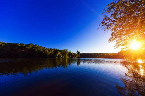 istock Picturesque forest and the river 639038066