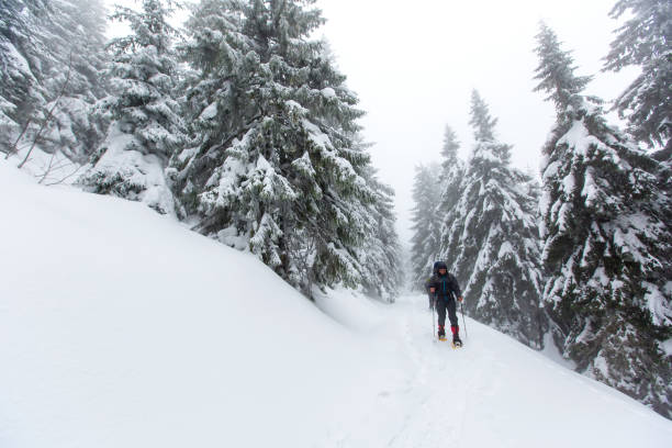 istock Man is hiking in winter forest on cloudy day 639040078