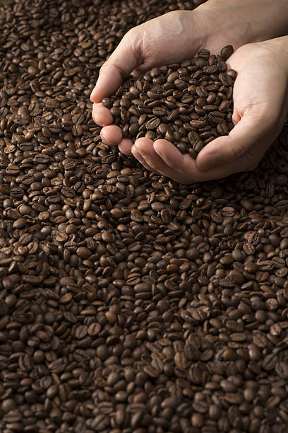 istock Male hands scoop of coffee beans 639040876