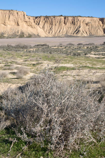 istock Bardenas Reales Park, Navarre 639040980