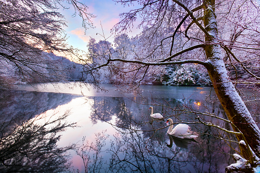 Sunlight reflections on a small snow and ice covered river