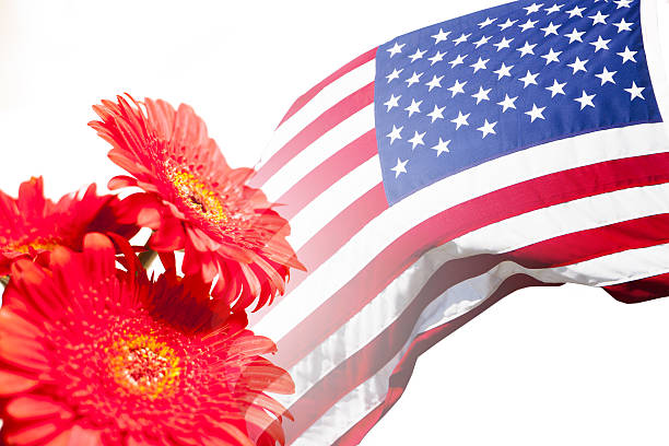istock USA flag and red daisy flowers on white. 639042180
