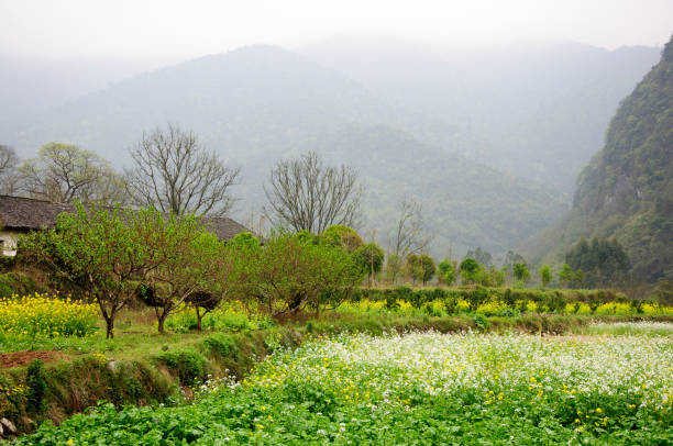 istock The mountains  and countryside scenery 639045388
