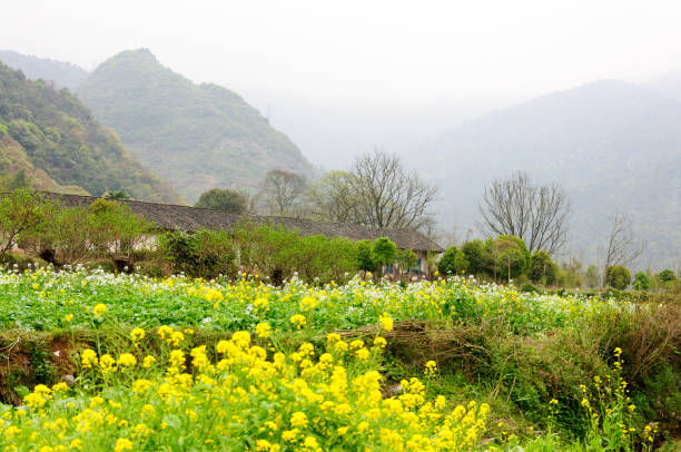 istock The mountains  and countryside scenery 639045402