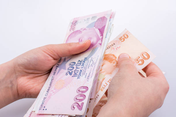 istock Hand holding Turksh Lira banknotes  in hand 639048942