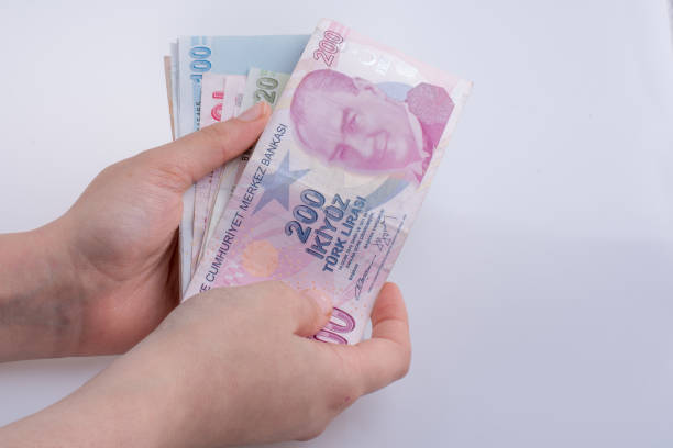 istock Hand holding Turksh Lira banknotes  in hand 639048988