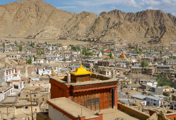 istock Panorama of Leh 639049518