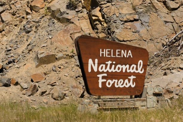 Helena National Forest Sign US Department of Agriculture Sign that announces the entrance to Helena National Forest national forest stock pictures, royalty-free photos & images