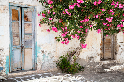 Old wooden doors, tree and Bougainvillea flowers, Paros, Greece. Paros is a Greek island in the central Aegean Sea, it lies to the west of Naxos.