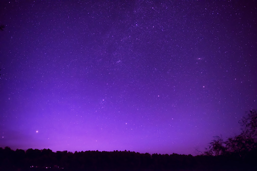 Beautiful purple night sky with many stars above the forest. Milkyway space background