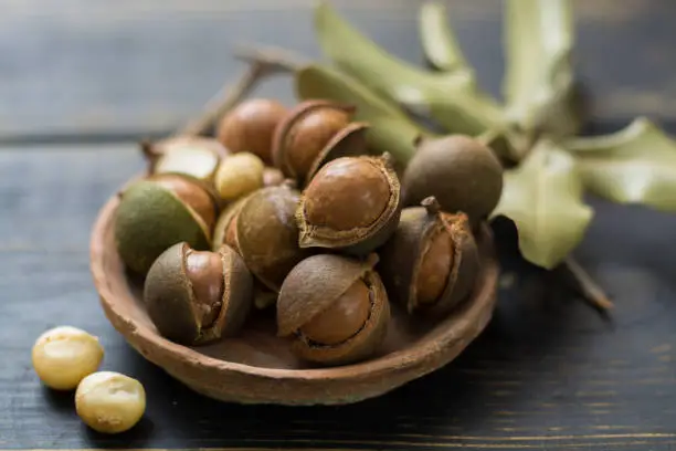 Macadamia nuts in shell on wooden table