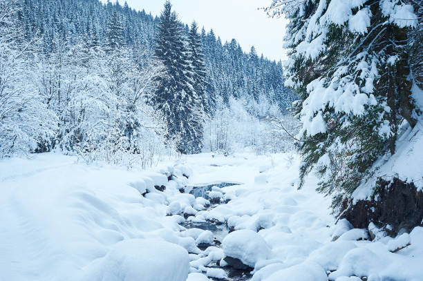 istock Winter mountain river after the snowfall 639051470