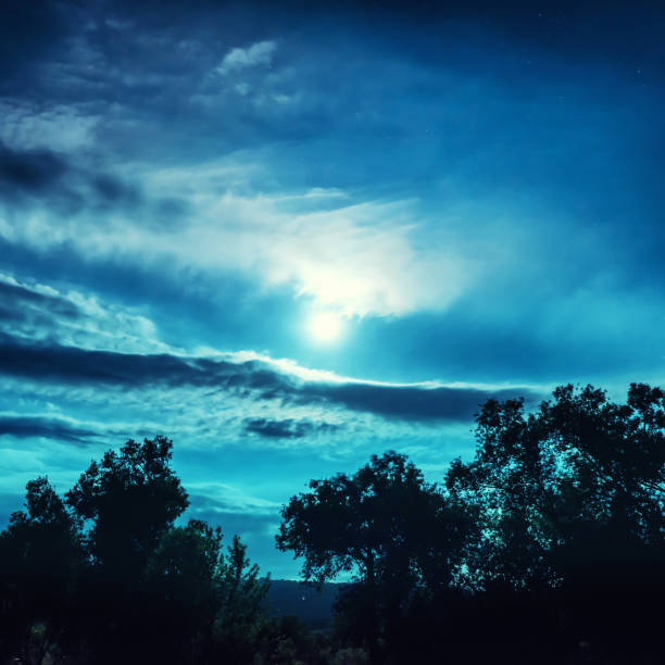 istock Full Moon night in the forest 639051776