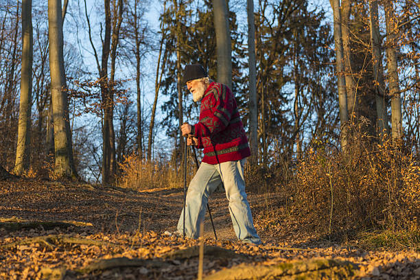 istock Senior man in forest 639052650