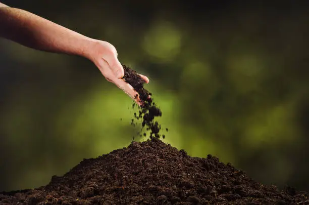 Photo of Hand pouring black soil on green plant bokeh background