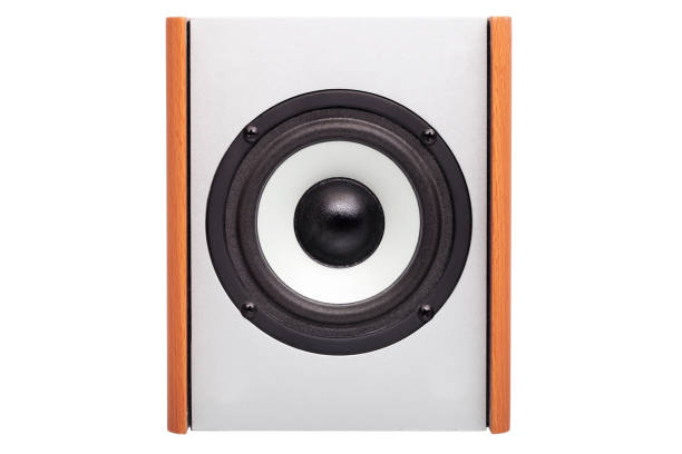 istock Acoustic column with white loudspeaker. 639057156