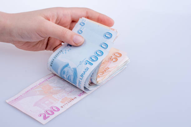 istock Hand holding Turksh Lira banknotes  in hand 639057300
