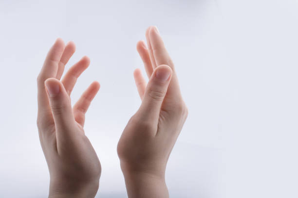 istock Hand holding gesture on a white background 639061256