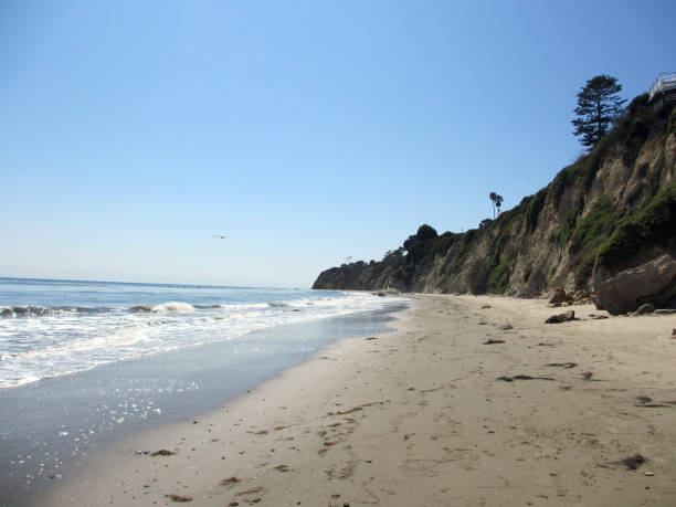 istock Waves lap on the beach next to tall cliff with trees 639062704