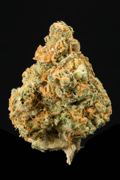 Cannabis Flower nugget stock photo