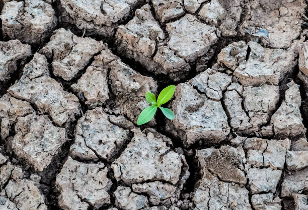 istock Dry cracked earth background 639067056