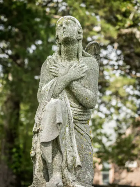 low-angle view of mourning, guardian angel against backdrop of trees